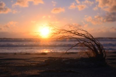 Scenic view of sea at sunset