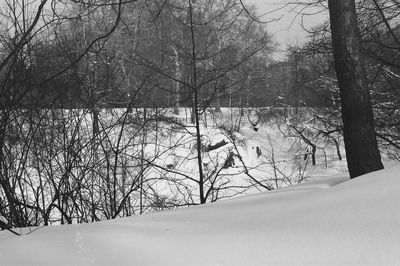 Bare trees on snow covered landscape against sky