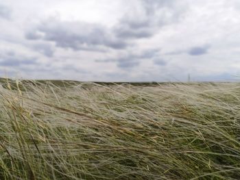 Scenic view of field against cloudy sky