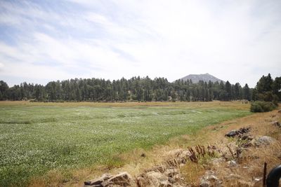 Scenic view of landscape against sky