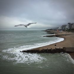 Seagulls on sea shore against sky