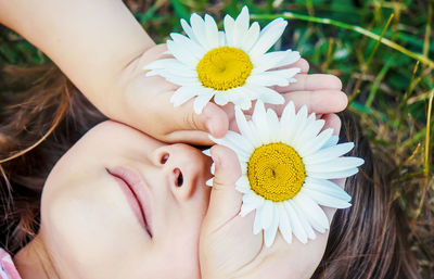 Close-up of woman holding white daisy