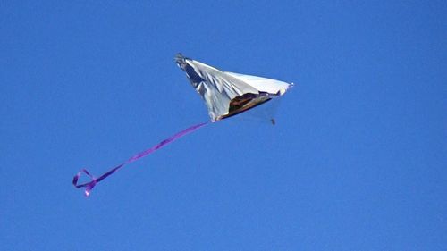 Low angle view of bird flying against clear blue sky