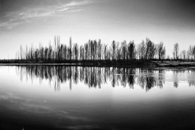 Reflection of trees in lake