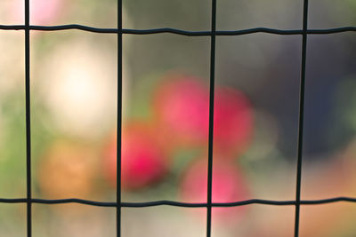 Full frame shot of raindrops on metal fence