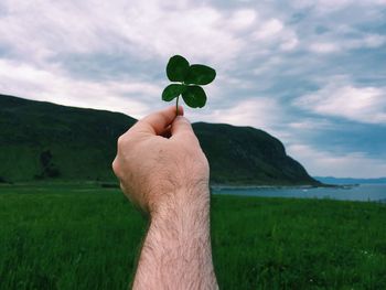 Midsection of person holding plant on field against sky