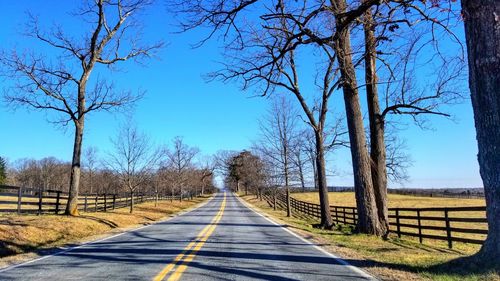 Road amidst bare trees against clear blue sky
