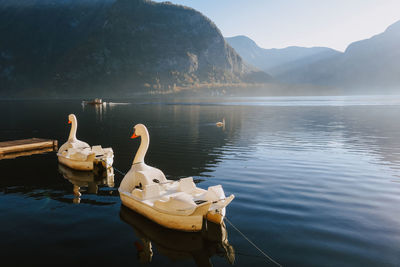 Swan and boats on lake against mountains