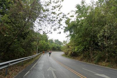 Road amidst trees against sky