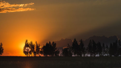 Silhouette trees on field against orange sky