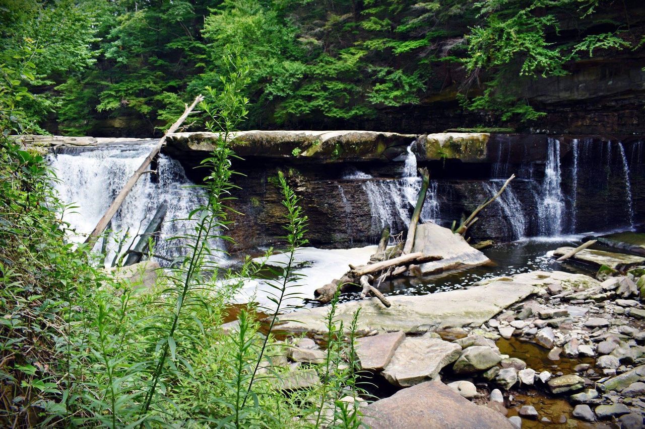 SCENIC VIEW OF WATERFALL