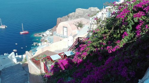 High angle view of plants by sea