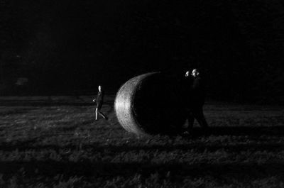 Horse on field at night