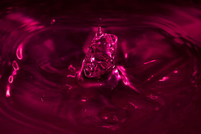 Close-up of water drop on glass