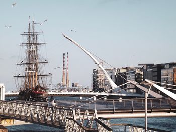 Sailboats moored at harbor against clear sky