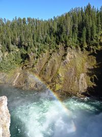 Scenic view of waterfall