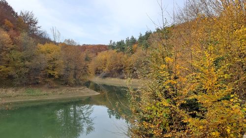 Scenic view of lake in forest against sky during autumn