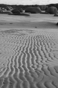 Scenic view of sand dunes at beach against sky