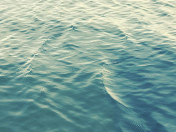 High angle view of swimming pool in sea