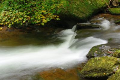 High angle view of moss covered rocks in river