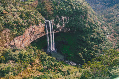 High angle view of waterfall amidst trees in forest