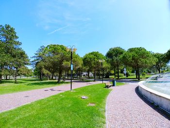 Footpath in park against blue sky