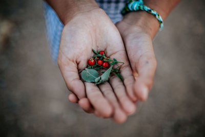Older child holding berries and leaves in their hands