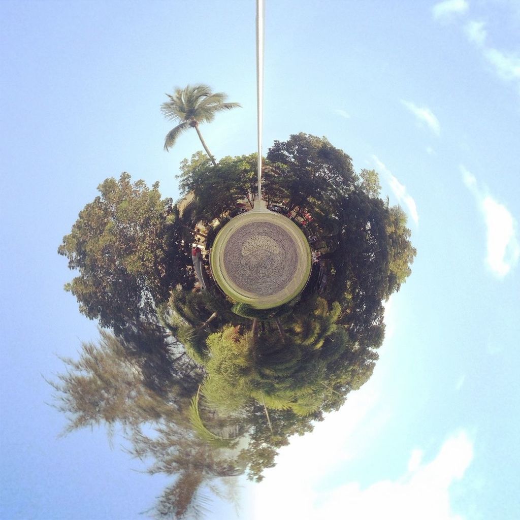 low angle view, tree, sky, circle, growth, day, cloud - sky, cloud, no people, outdoors, nature, blue, clear sky, palm tree, sunlight, lighting equipment, built structure, street light, technology, green color