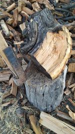 High angle view of logs in forest