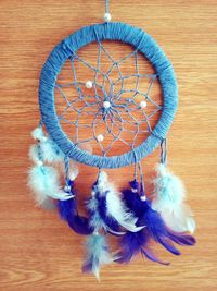 High angle view of peacock hanging on wood