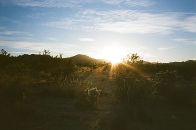 Scenic view of field against sky during sunset