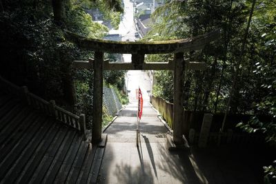 Rear view of person on footbridge in forest