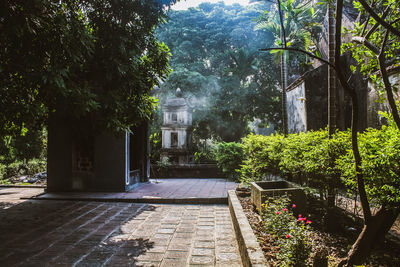 Footpath amidst trees in park