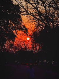 View of road at sunset