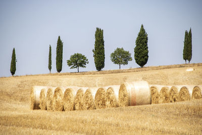 Hay bales on field against sky