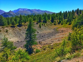 Scenic view of landscape against clear sky