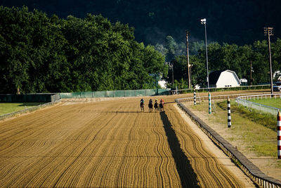 People on street amidst trees on field