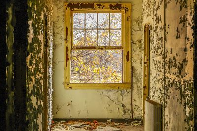 Window of old building