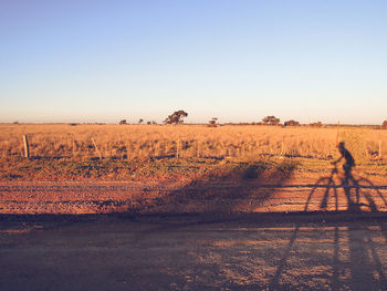 View of dirt road on field against clear sky