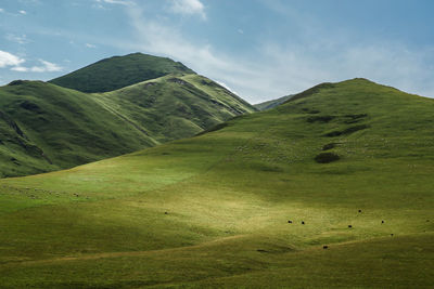 View of green landscape against cloudy sky