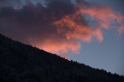 Low angle view of silhouette trees against sky at sunset