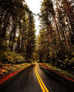 Road amidst trees against sky