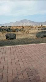 Landscape with mountain range in background