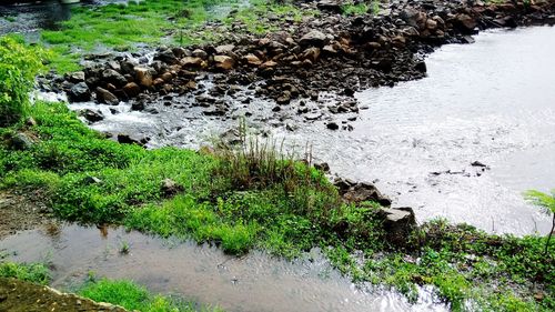 Scenic view of river flowing through rocks