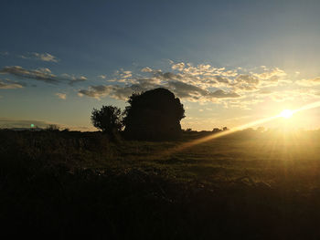 Scenic view of field against sky during sunset