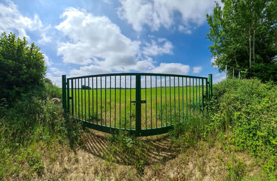 Big green metal gate to a field