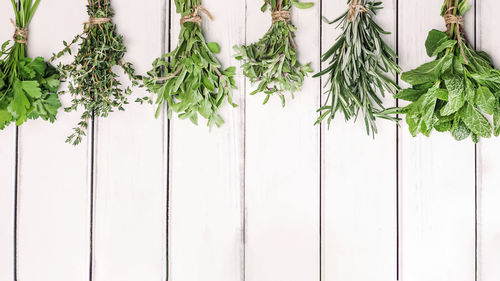 Fresh green herbs on white wooden table, top view, with copy space