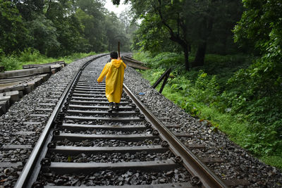 Railroad tracks amidst trees in forest - dudhsagar trek
