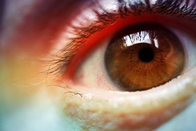 Extreme close-up of human eye