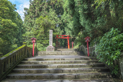 Rear view of man walking on staircase